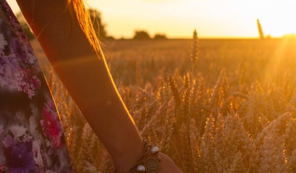 Scienze Psicologiche e Neuroscienze mod. 1: Il sonno, i sogni e lo stato Theta