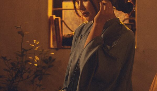 Introduzione alla DOMOteorica